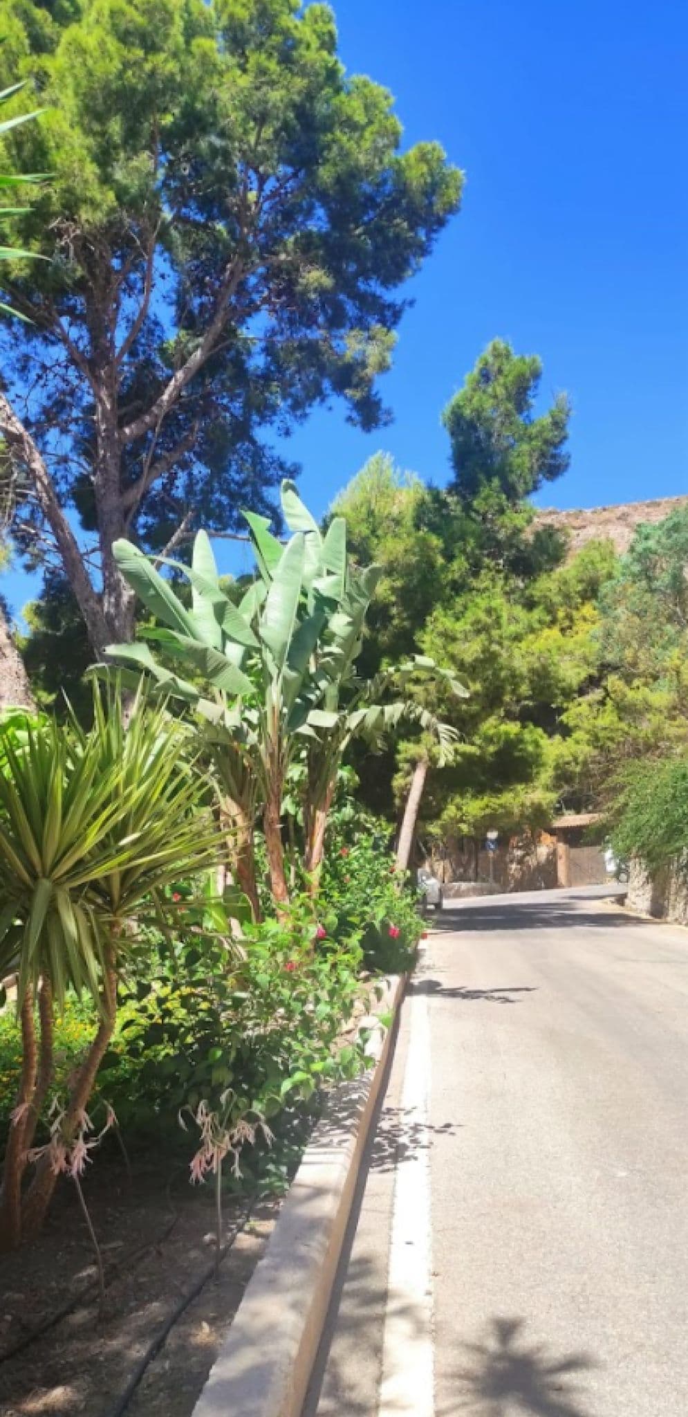 Calles de Pinares de San Antón
